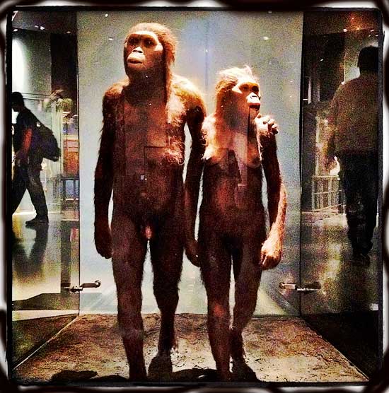 hominoid Couple