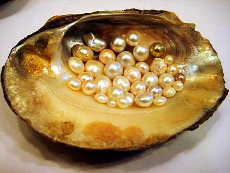 Freshwater Pearls