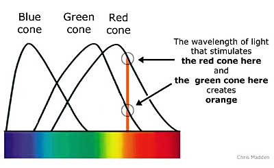 Eye Color Vision